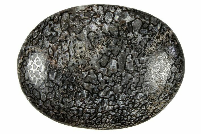 Polished Dinosaur Bone (Gembone) Cabochon - Colorado #370767